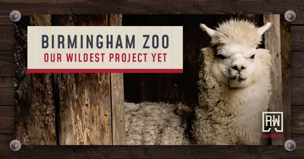 birmingham zoo case study